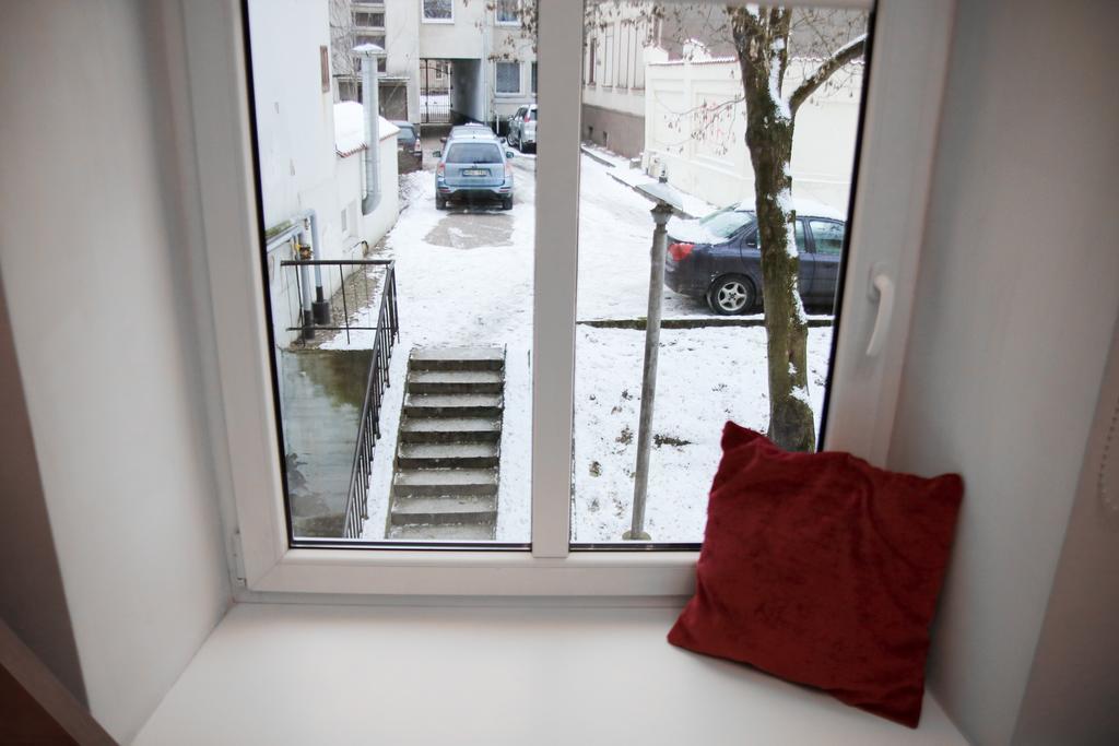 Great Apartment Near Town Hall Wilno Zewnętrze zdjęcie